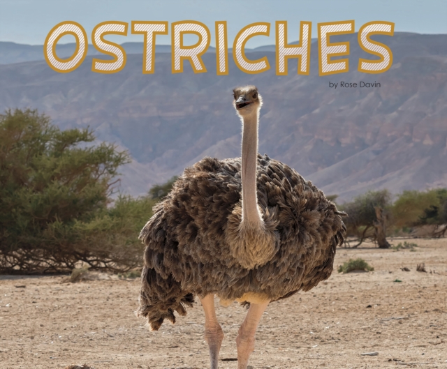 Book Cover for Ostriches by Davin, Rose