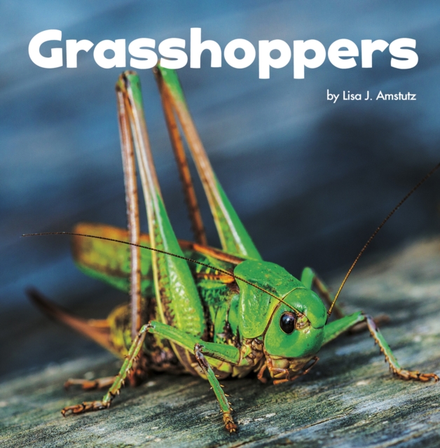 Book Cover for Grasshoppers by Amstutz, Lisa J.