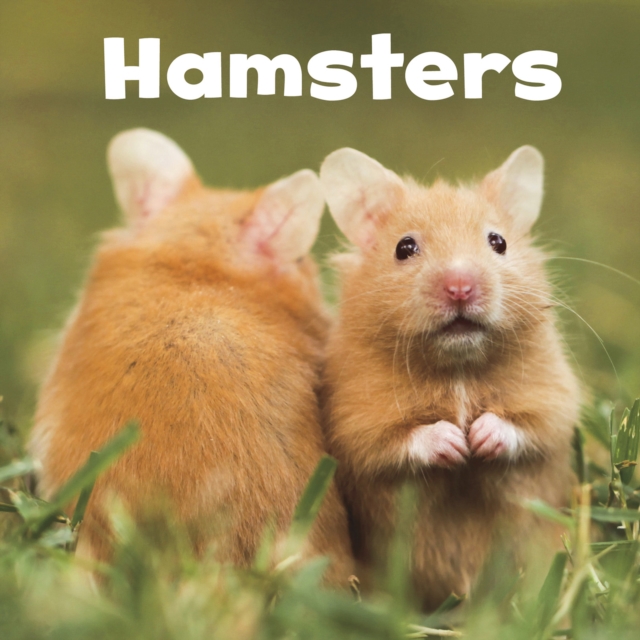 Book Cover for Hamsters by Amstutz, Lisa J.