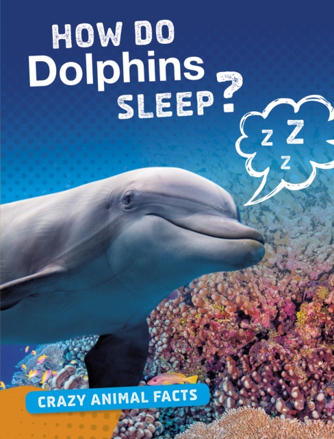 Book Cover for How Do Dolphins Sleep? by Nancy Furstinger