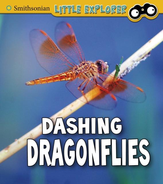 Book Cover for Dashing Dragonflies by Megan Cooley Peterson