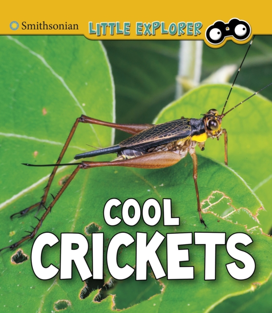 Book Cover for Cool Crickets by Megan Cooley Peterson