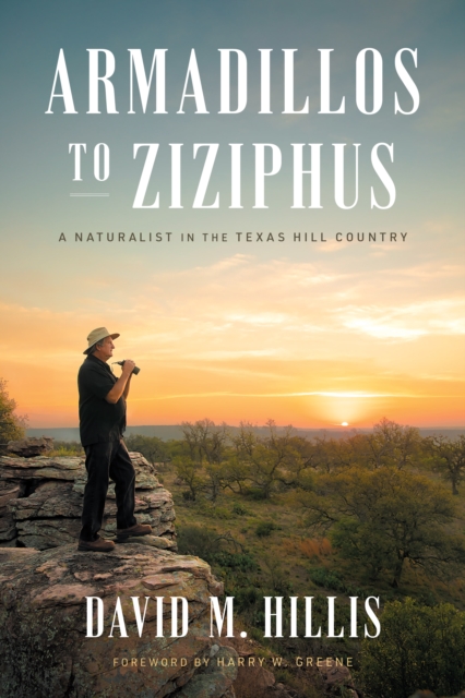 Book Cover for Armadillos to Ziziphus by Hillis David M. Hillis