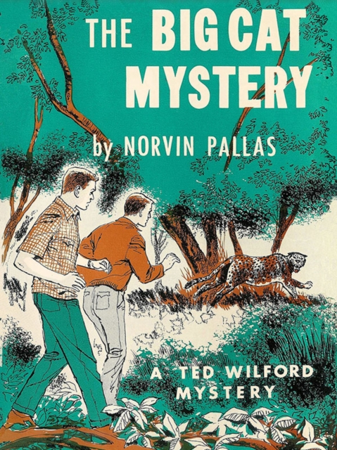 Book Cover for Big Cat Mystery by Norvin Pallas