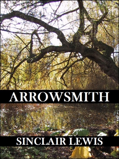 Book Cover for Arrowsmith (Reader's Edition) by Sinclair Lewis