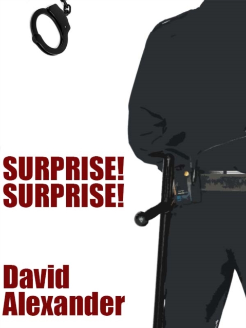 Book Cover for Surprise! Surprise! by David Alexander