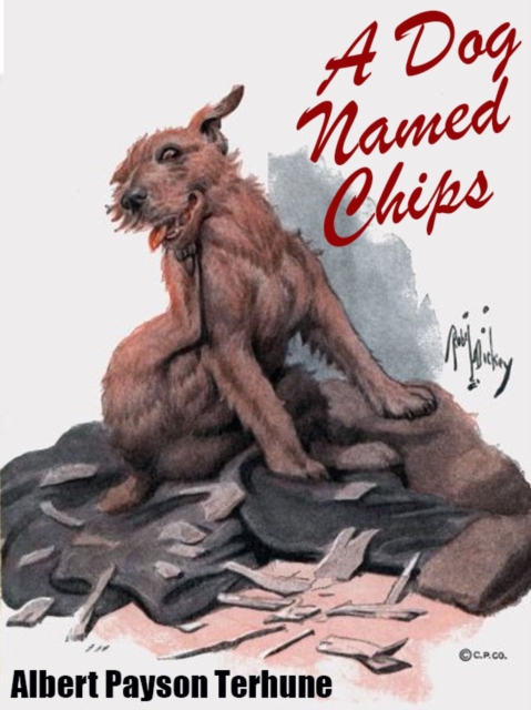 Book Cover for Dog Named Chips by Albert Payson Terhune