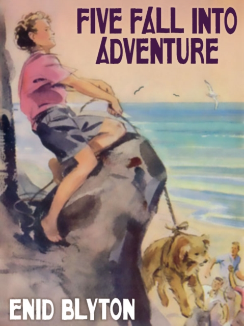 Book Cover for Five Fall Into Adventure by Blyton, Enid