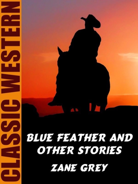 Book Cover for Blue Feather and Other Stories by Zane Grey