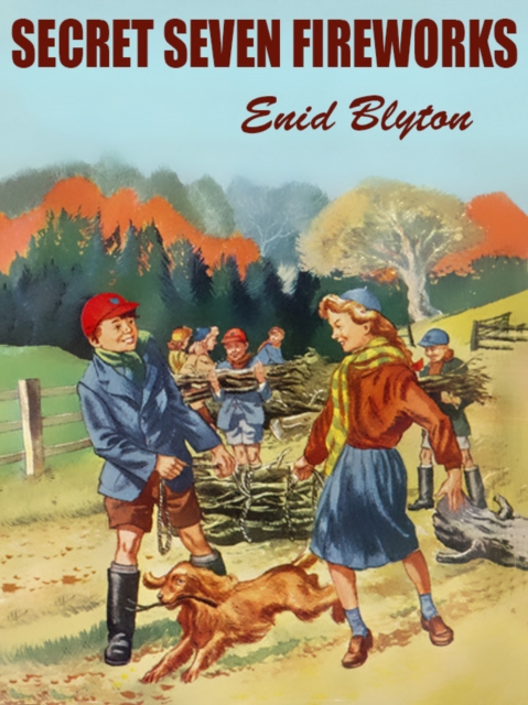 Book Cover for Secret Seven Fireworks by Enid Blyton