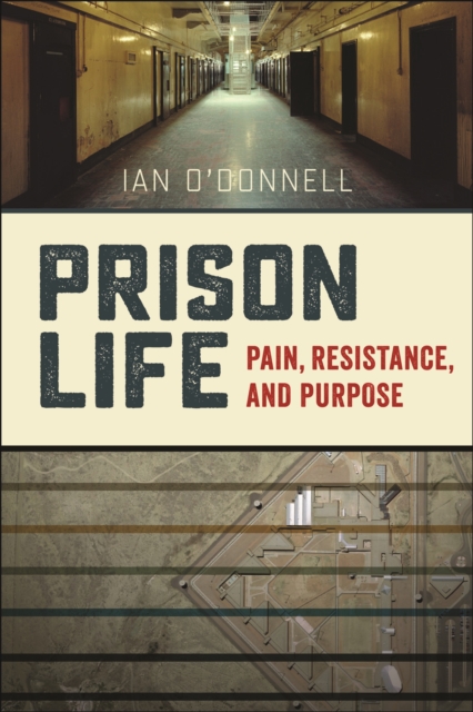 Book Cover for Prison Life by Ian O'Donnell