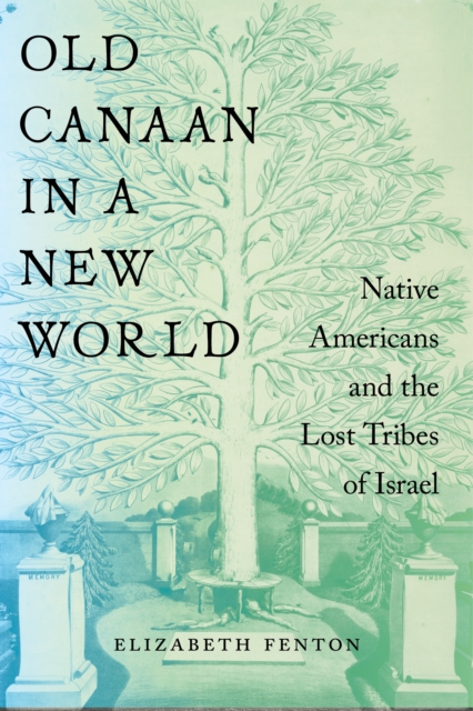 Book Cover for Old Canaan in a New World by Elizabeth Fenton