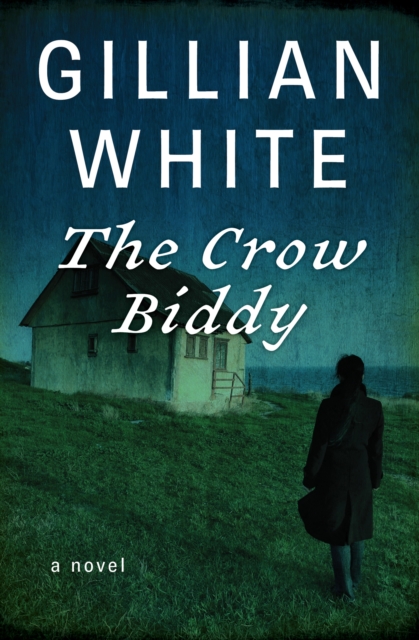 Book Cover for Crow Biddy by Gillian White