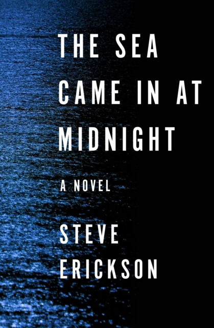 Book Cover for Sea Came in at Midnight by Steve Erickson