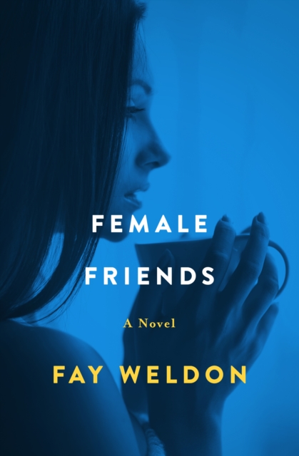 Book Cover for Female Friends by Fay Weldon