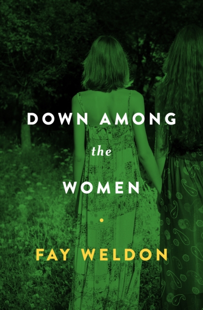 Book Cover for Down Among the Women by Fay Weldon