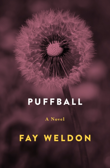 Book Cover for Puffball by Weldon, Fay