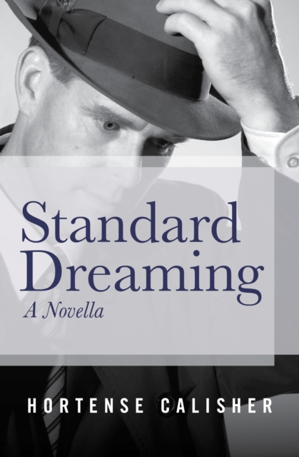 Book Cover for Standard Dreaming by Hortense Calisher