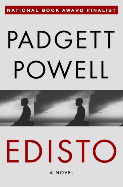 Book Cover for Edisto by Padgett Powell