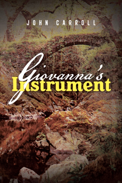 Book Cover for Giovanna'S Instrument by John Carroll