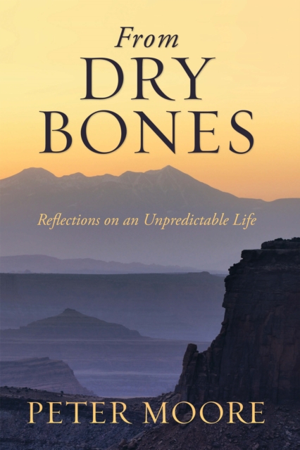 Book Cover for From Dry Bones by Peter Moore