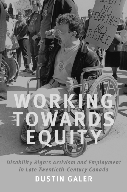 Book Cover for Working towards Equity by Dustin Galer