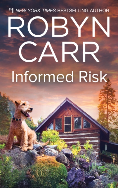 Book Cover for Informed Risk by Robyn Carr