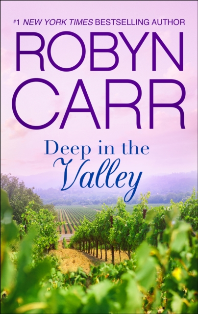 Book Cover for Deep In The Valley by Robyn Carr