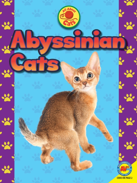 Book Cover for Abyssinian Cats by Tammy Gagne
