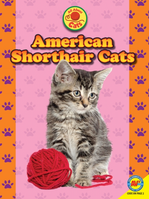 Book Cover for American Shorthair Cats by Nancy Furstinger