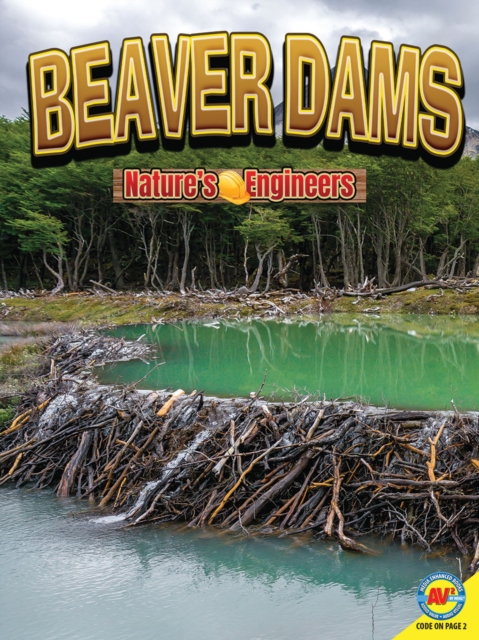Book Cover for Beaver Dams by Nancy Furstinger