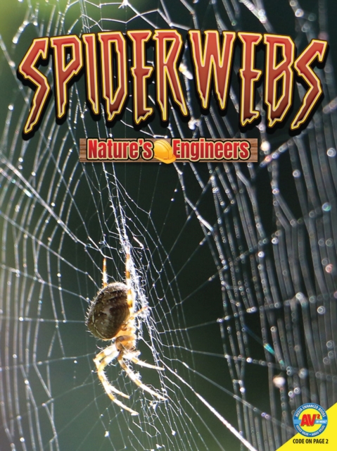 Book Cover for Spiderwebs by Nancy Furstinger