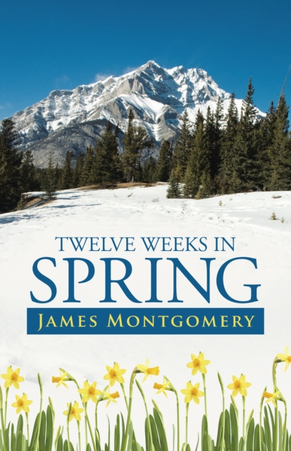 Book Cover for Twelve Weeks in Spring by Montgomery, James