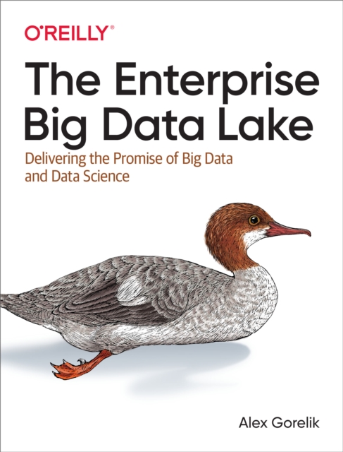 Book Cover for Enterprise Big Data Lake by Alex Gorelik