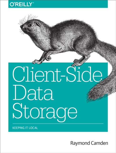 Book Cover for Client-Side Data Storage by Raymond Camden