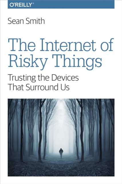 Book Cover for Internet of Risky Things by Sean Smith