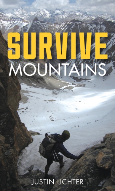 Book Cover for Survive by Justin Lichter