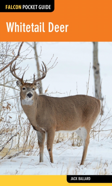 Book Cover for Whitetail Deer by Jack Ballard