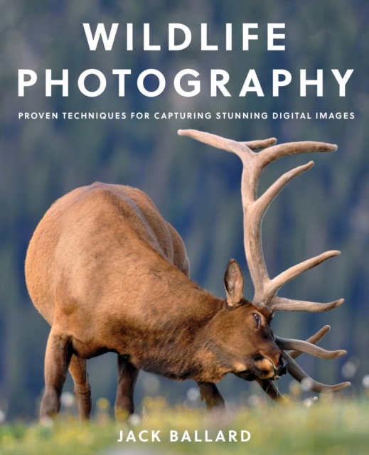 Book Cover for Wildlife Photography by Jack Ballard