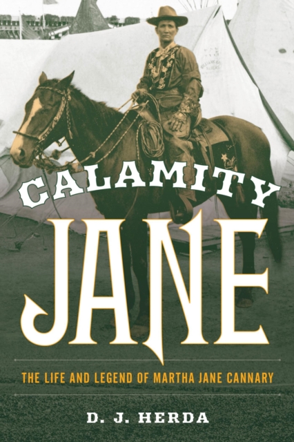 Book Cover for Calamity Jane by D. J. Herda