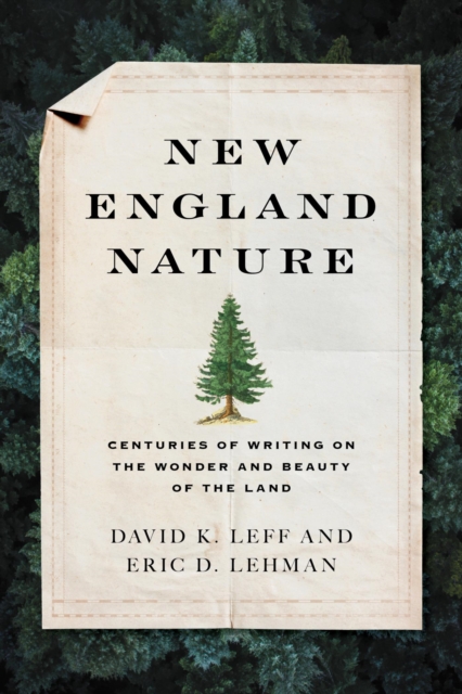 Book Cover for New England Nature by Eric D. Lehman