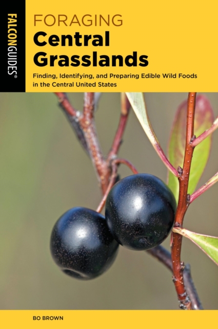 Book Cover for Foraging Central Grasslands by Bo Brown