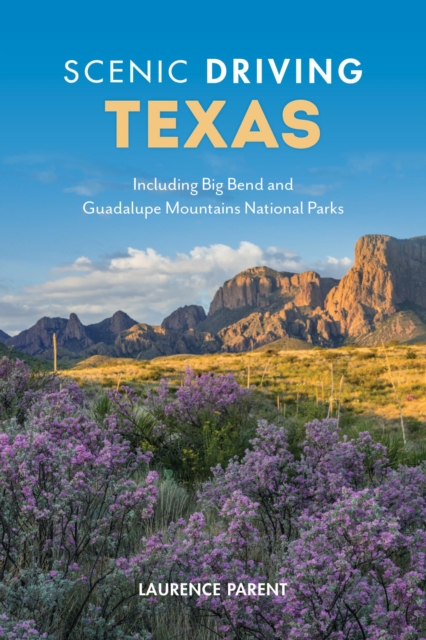 Book Cover for Scenic Driving Texas by Laurence Parent