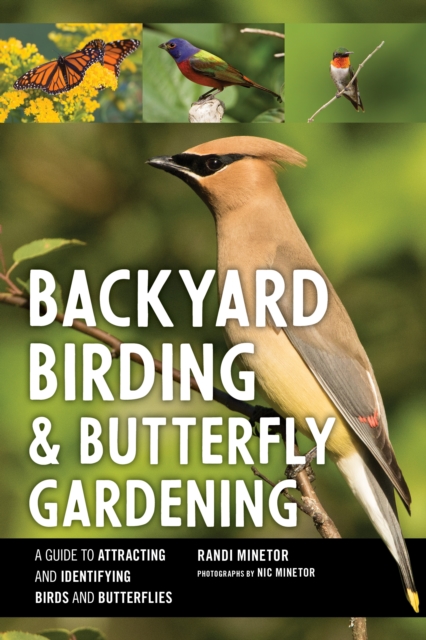 Book Cover for Backyard Birding and Butterfly Gardening by Randi Minetor