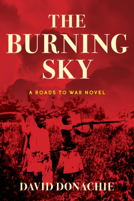 Book Cover for Burning Sky by David Donachie