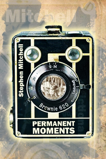 Book Cover for Permanent Moments by Stephen Mitchell