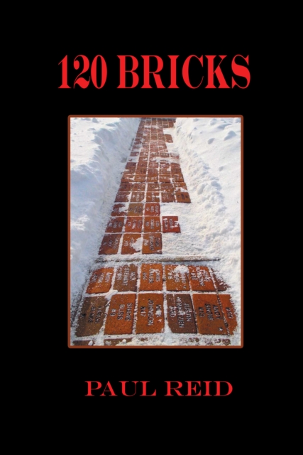 Book Cover for 120 Bricks by Paul Reid