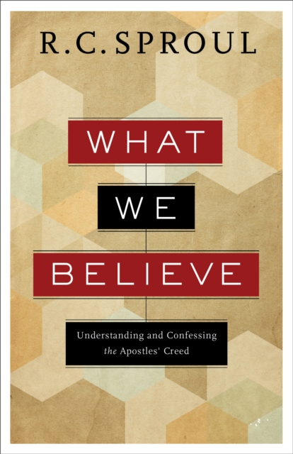 Book Cover for What We Believe by R. C. Sproul