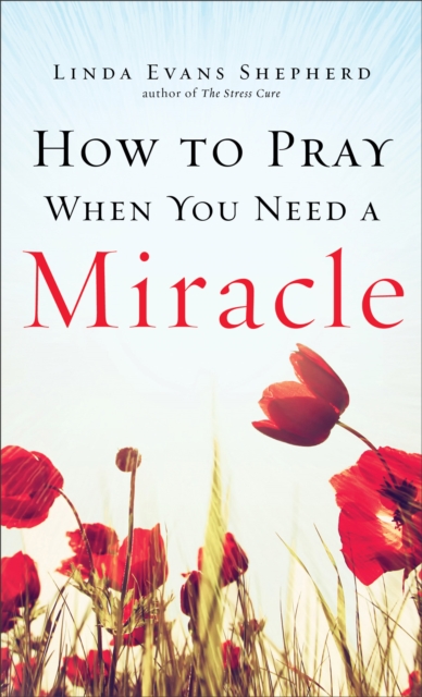 Book Cover for How to Pray When You Need a Miracle by Linda Evans Shepherd