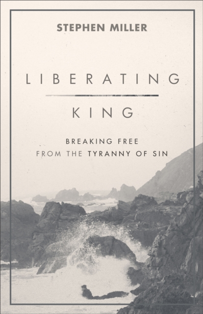 Book Cover for Liberating King by Stephen Miller